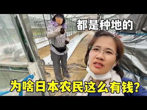 赛季德甲联,赛第,轮赛事亮点,今日足球比分,足球赛事平台,足球比赛比分,足球赛事数据,足球赛事信息